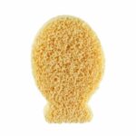 لیف نوزاد اسفنجی ماهی با یون نقره چیکو Chicco - تصویر 3