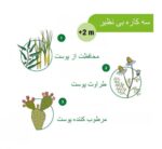قلم ضد حشره و تسکین دهنده گزش10 میل چیکو Chicco - تصویر 4